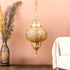 Elegant Moroccan Pendant Light, Handcrafted Brass Chandelier & Lampshade (PL 1018)