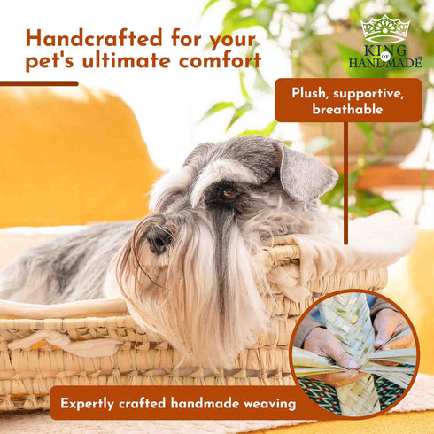 Large Dog Bed | Cute Cat Bed Personalized By Name