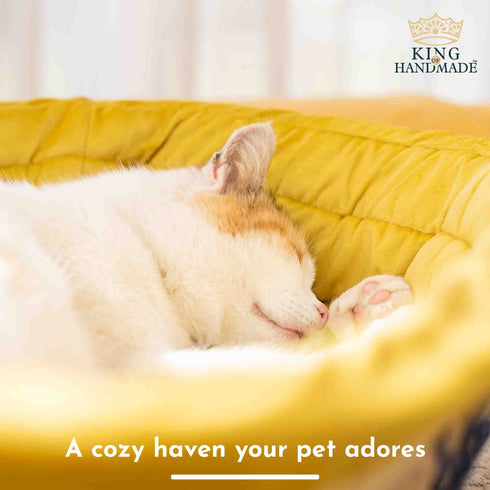 Large Dog Bed | Cute Cat Bed Personalized By Name