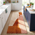 Moroccan Berber Rug – Terracotta Abstract Wool Rug