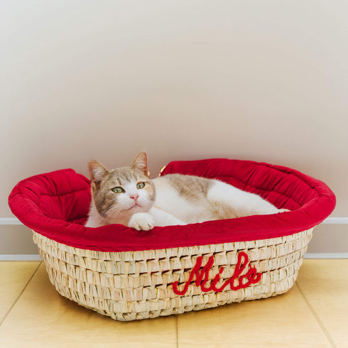 Large Dog Bed | Cute Cat Bed Personalized By Name