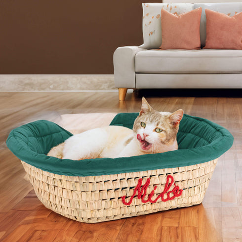 Large Dog Bed | Cute Cat Bed Personalized By Name