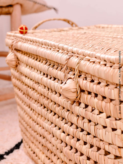 Personalized Pet Storage Box | Customized with Your Pet's Name