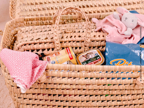Personalized Pet Storage Box | Customized with Your Pet's Name