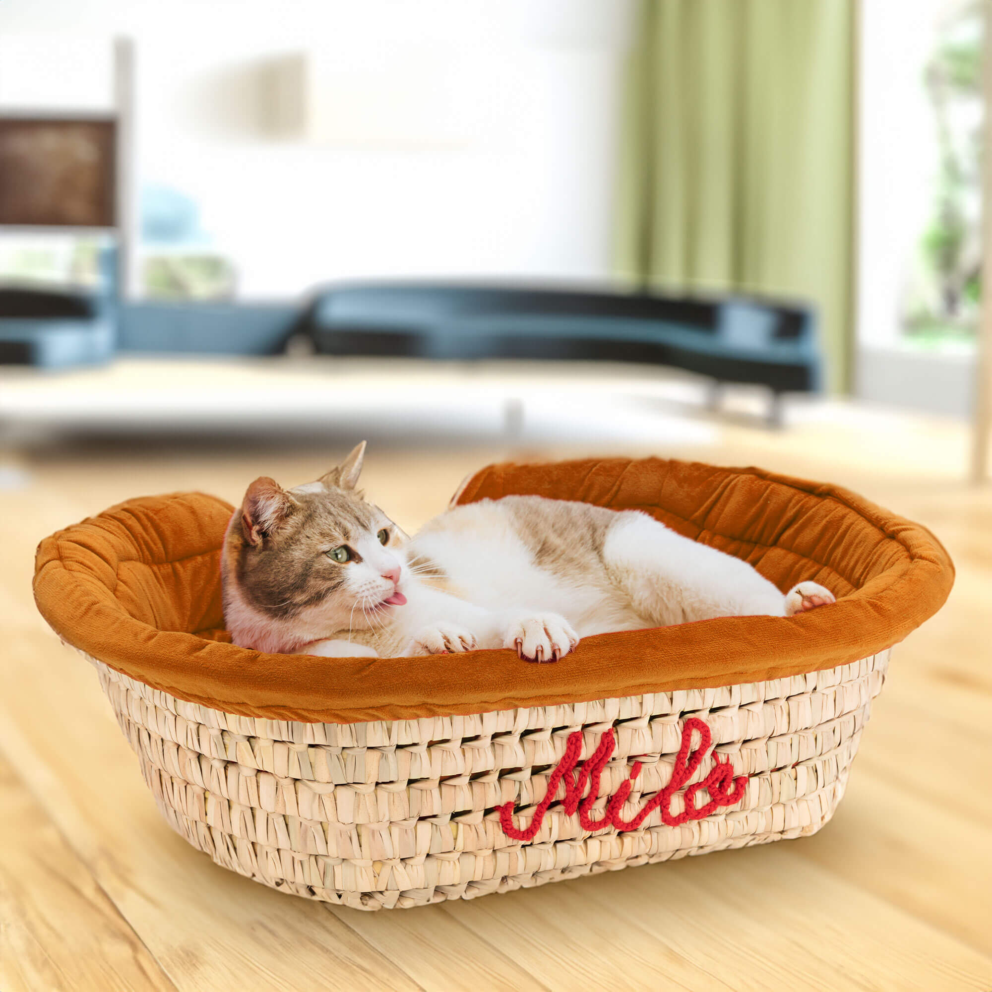 Large Dog Bed | Cute Cat Bed Personalized By Name